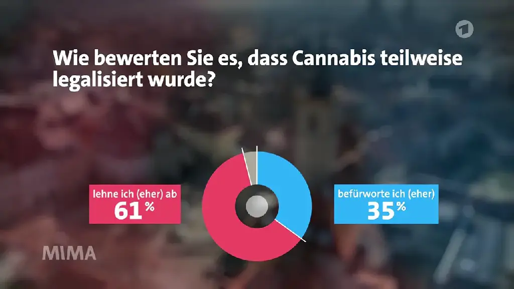 Wie bewerten Sie es, dass Cannabis teilweise legalisiert wurde? lehne ich (eher) ab: 61%. befürworte ich (eher): 35% 