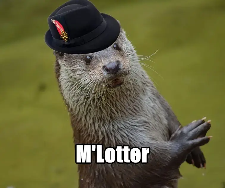 An otter wearing a trilby with the text &quot;M&#39;Lotter&quot; at the bottom of the image.