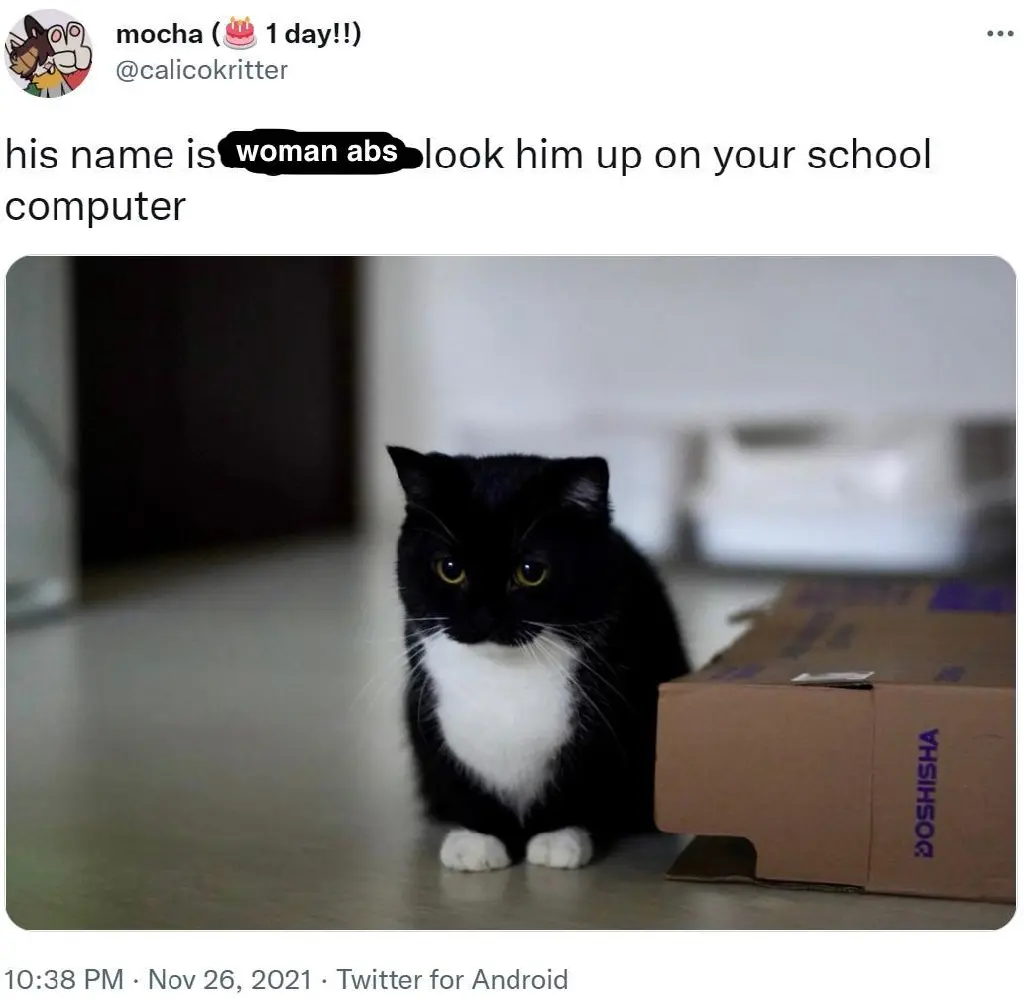 Description: A tweet-edit of a picture showing a cute black kitten. It reads &quot;his name is women abs look him up on your school computer&quot;