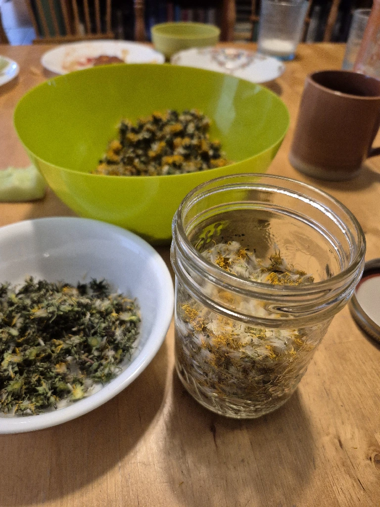 A table with a large bowl of dried dandelion flowers, a small bowl of green stems and leaves, and a glass jar of dried dandelion petals