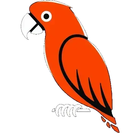 Early Bird: a parrot, orangered colors