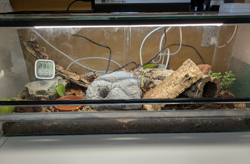 His enclosure until he gets a little bigger