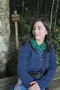 gallareta