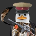 Shitbird [any]