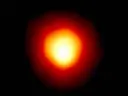 betelgeuse [comrade/them]