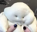 damaged hair