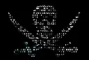 Piracy