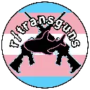 TransGuns