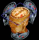 Despotic Machine