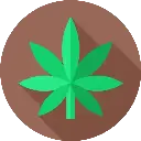 Maconha