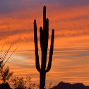 Tucson
