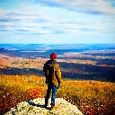 Scotty_Trees