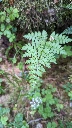 Nature's Patterns - the beauty in the details