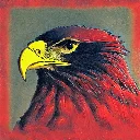 IronEagleBird