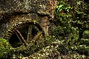 Reclaimed By Nature