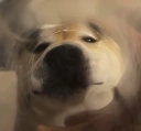 ZaroniPepperoni