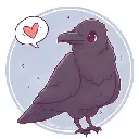 Kyoyeou (Ki jəʊ juː)