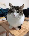 lol
