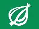 The Onion