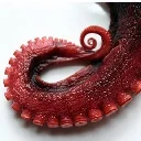 Tako Penisu