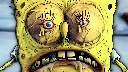 spunch bob