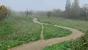Desire Paths