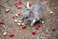 Easter Weekly Chat - 19th to the 26th April