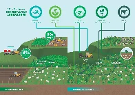 [Opinion] Going Carnivore - Decision Tree
