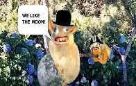 WELCOME REDDIT MAPLEAPES! NEW CANADAPES READ HERE FIRST BEFORE POSTING DRS/BANK TRANSFER QUESTIONS! DRS Procedures - Computershare Questions - TFSA/RRSP TAX FAQs