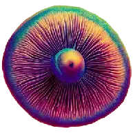 New Home of Shrooms/c/lemmy.world