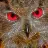 Electronic_Owl