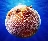 circularfish