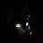 noirnws