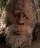 bigfoot