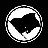 void_turtle