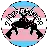 trans_guns