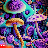 shrooms