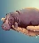 ibelieveinthehousehippo