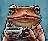 CafeFrog