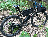 chromolium_falcon