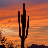 tucson