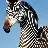 ZebraGoose