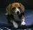 porthos