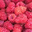 raspberrypi