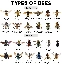 bees