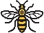 manchester