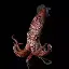 niftysquidpictures