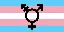 trans
