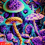 shrooms