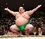 sumo